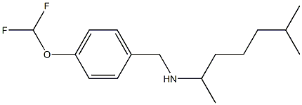 {[4-(difluoromethoxy)phenyl]methyl}(6-methylheptan-2-yl)amine Struktur