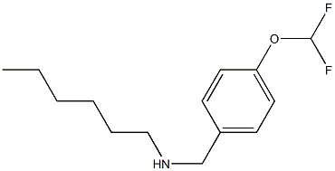 {[4-(difluoromethoxy)phenyl]methyl}(hexyl)amine Struktur