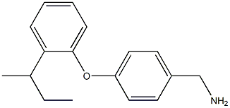 {4-[2-(butan-2-yl)phenoxy]phenyl}methanamine Struktur