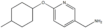 {6-[(4-methylcyclohexyl)oxy]pyridin-3-yl}methanamine Struktur