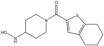 1-(4,5,6,7-tetrahydro-1-benzothiophen-2-ylcarbonyl)piperidine-4-hydroxylamine Struktur