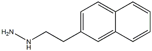 1-[2-(naphthalen-2-yl)ethyl]hydrazine Struktur