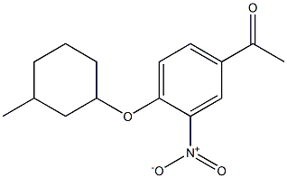 1-{4-[(3-methylcyclohexyl)oxy]-3-nitrophenyl}ethan-1-one Struktur