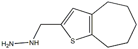 1-{4H,5H,6H,7H,8H-cyclohepta[b]thiophen-2-ylmethyl}hydrazine Struktur