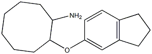 2-(2,3-dihydro-1H-inden-5-yloxy)cyclooctan-1-amine Struktur