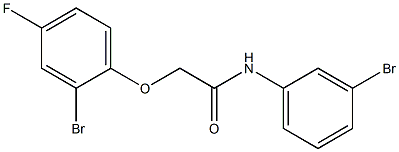 2-(2-bromo-4-fluorophenoxy)-N-(3-bromophenyl)acetamide Struktur