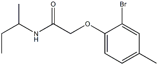 2-(2-bromo-4-methylphenoxy)-N-(butan-2-yl)acetamide Struktur