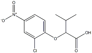 2-(2-chloro-4-nitrophenoxy)-3-methylbutanoic acid Struktur