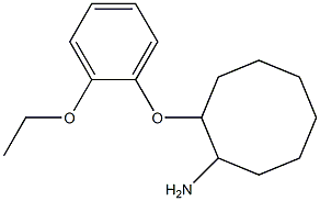 2-(2-ethoxyphenoxy)cyclooctan-1-amine Struktur