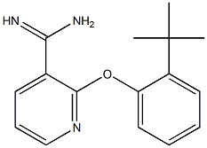 2-(2-tert-butylphenoxy)pyridine-3-carboximidamide Struktur