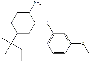 2-(3-methoxyphenoxy)-4-(2-methylbutan-2-yl)cyclohexan-1-amine Struktur