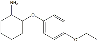 2-(4-ethoxyphenoxy)cyclohexan-1-amine Struktur