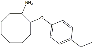 2-(4-ethylphenoxy)cyclooctan-1-amine Struktur