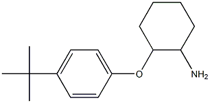 2-(4-tert-butylphenoxy)cyclohexan-1-amine Struktur