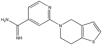 2-(6,7-dihydrothieno[3,2-c]pyridin-5(4H)-yl)pyridine-4-carboximidamide Struktur