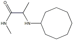 2-(cyclooctylamino)-N-methylpropanamide Struktur