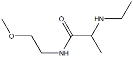 2-(ethylamino)-N-(2-methoxyethyl)propanamide Struktur