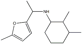 2,3-dimethyl-N-[1-(5-methylfuran-2-yl)ethyl]cyclohexan-1-amine Struktur