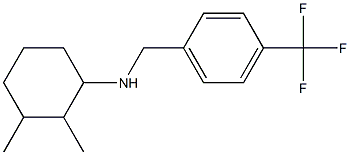 2,3-dimethyl-N-{[4-(trifluoromethyl)phenyl]methyl}cyclohexan-1-amine Struktur