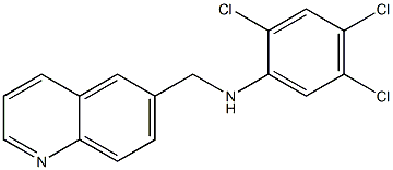 2,4,5-trichloro-N-(quinolin-6-ylmethyl)aniline Struktur