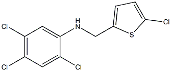 2,4,5-trichloro-N-[(5-chlorothiophen-2-yl)methyl]aniline Struktur