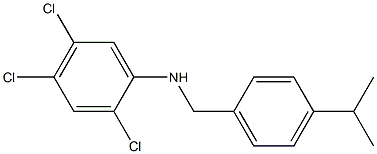  化學(xué)構(gòu)造式