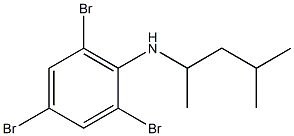 2,4,6-tribromo-N-(4-methylpentan-2-yl)aniline Struktur