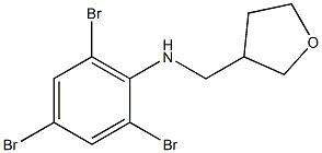 2,4,6-tribromo-N-(oxolan-3-ylmethyl)aniline Struktur