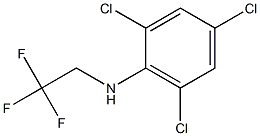 2,4,6-trichloro-N-(2,2,2-trifluoroethyl)aniline Struktur