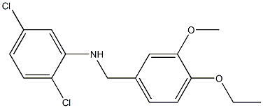 2,5-dichloro-N-[(4-ethoxy-3-methoxyphenyl)methyl]aniline Struktur