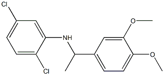 2,5-dichloro-N-[1-(3,4-dimethoxyphenyl)ethyl]aniline Struktur