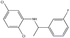 2,5-dichloro-N-[1-(3-fluorophenyl)ethyl]aniline Struktur