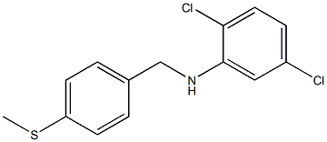 2,5-dichloro-N-{[4-(methylsulfanyl)phenyl]methyl}aniline Struktur