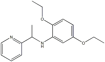 2,5-diethoxy-N-[1-(pyridin-2-yl)ethyl]aniline Struktur