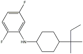 2,5-difluoro-N-[4-(2-methylbutan-2-yl)cyclohexyl]aniline Struktur