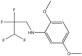 2,5-dimethoxy-N-(2,2,3,3-tetrafluoropropyl)aniline Struktur