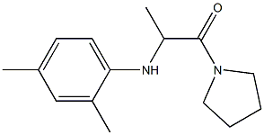 2-[(2,4-dimethylphenyl)amino]-1-(pyrrolidin-1-yl)propan-1-one Struktur