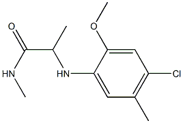 2-[(4-chloro-2-methoxy-5-methylphenyl)amino]-N-methylpropanamide Struktur