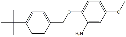 2-[(4-tert-butylphenyl)methoxy]-5-methoxyaniline Struktur