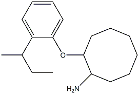 2-[2-(butan-2-yl)phenoxy]cyclooctan-1-amine Struktur