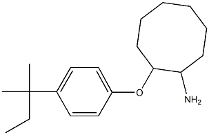 2-[4-(2-methylbutan-2-yl)phenoxy]cyclooctan-1-amine Struktur