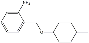 2-{[(4-methylcyclohexyl)oxy]methyl}aniline Struktur