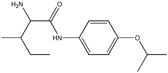 2-amino-3-methyl-N-[4-(propan-2-yloxy)phenyl]pentanamide Struktur