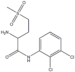 2-amino-N-(2,3-dichlorophenyl)-4-methanesulfonylbutanamide Struktur