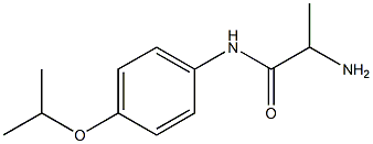 2-amino-N-[4-(propan-2-yloxy)phenyl]propanamide Struktur