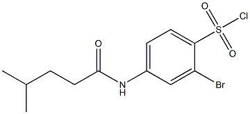 2-bromo-4-(4-methylpentanamido)benzene-1-sulfonyl chloride Struktur