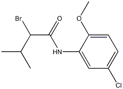 2-bromo-N-(5-chloro-2-methoxyphenyl)-3-methylbutanamide Struktur