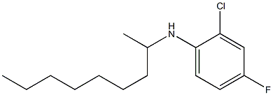 2-chloro-4-fluoro-N-(nonan-2-yl)aniline Struktur