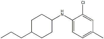 2-chloro-4-methyl-N-(4-propylcyclohexyl)aniline Struktur