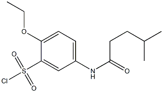 2-ethoxy-5-(4-methylpentanamido)benzene-1-sulfonyl chloride Struktur